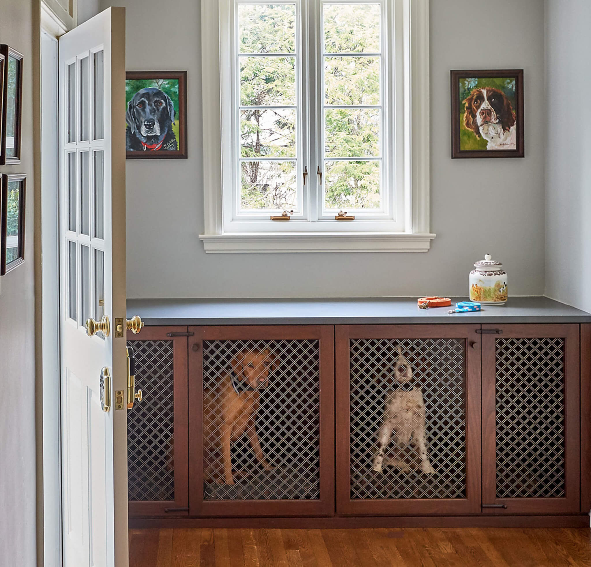 dog area
